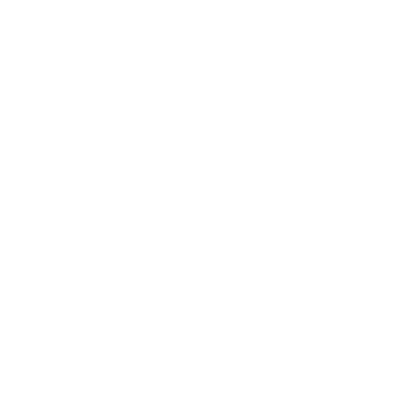 Logo-Viconsa