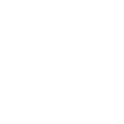 Logo-Zoom